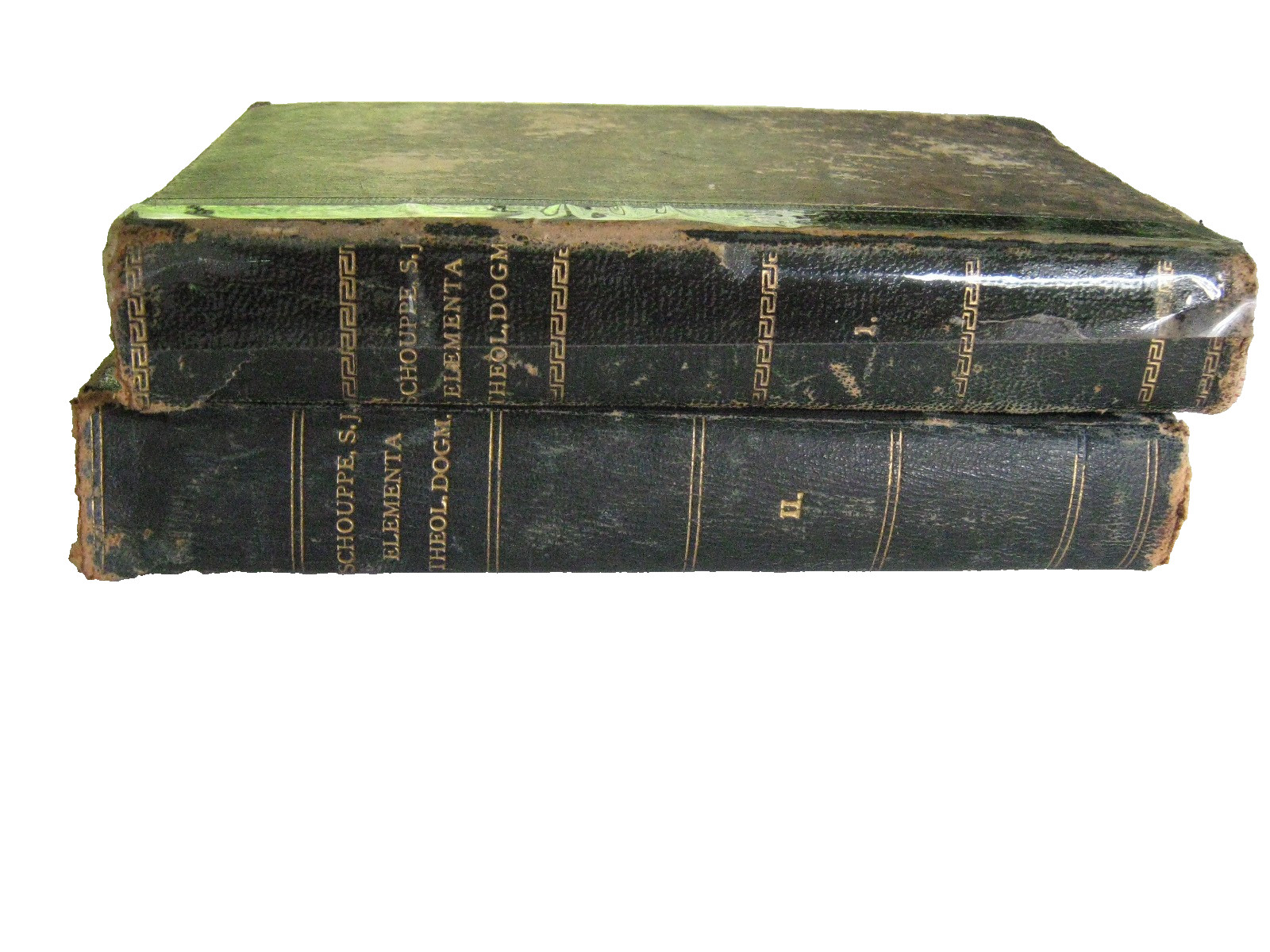 SCHOUPPE S.J Elementa Theologiae Dogmaticae Tomus I et II Latin Catholic Jesuit