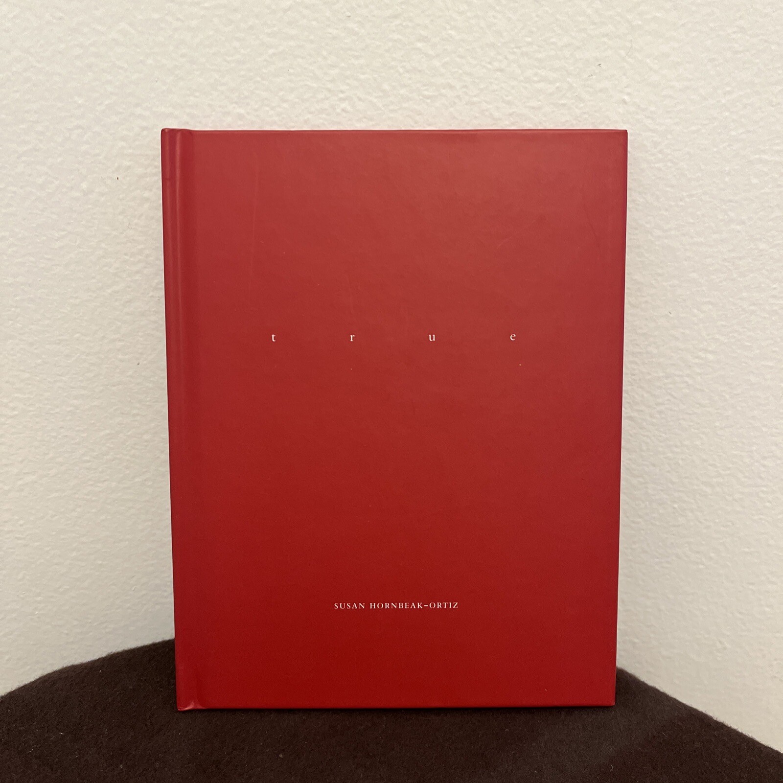 Susan Hornbeak-Ortiz – t r u e – One Picture Book #08 Nazraeli Press OPB