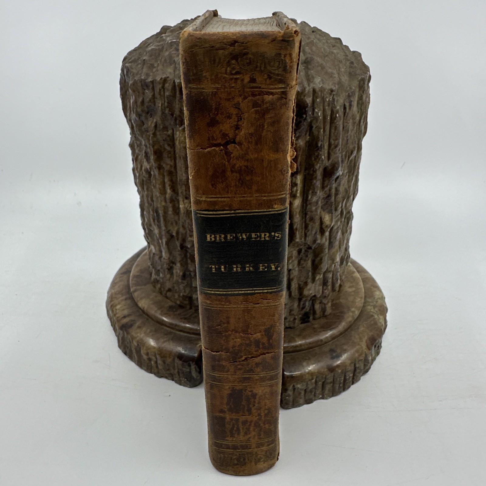 Residence Constantinople Josiah Brewer 1830 Leather Travel HC (W128DG)