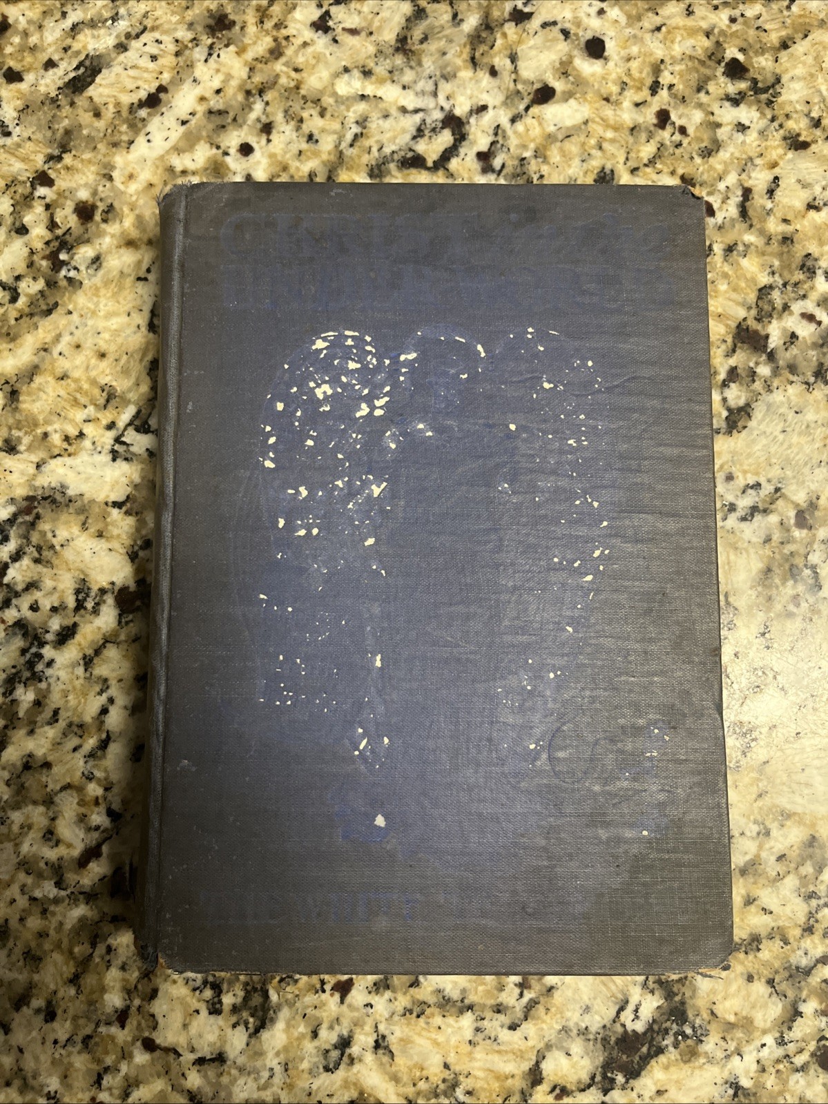 Christ In The Underworld by W. R. Vansant 1907 ORIGINAL Hardcover Religious