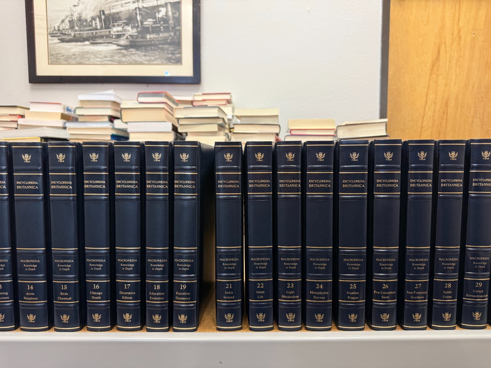 Encyclopedia britannica 15th special edition leather 1995 set