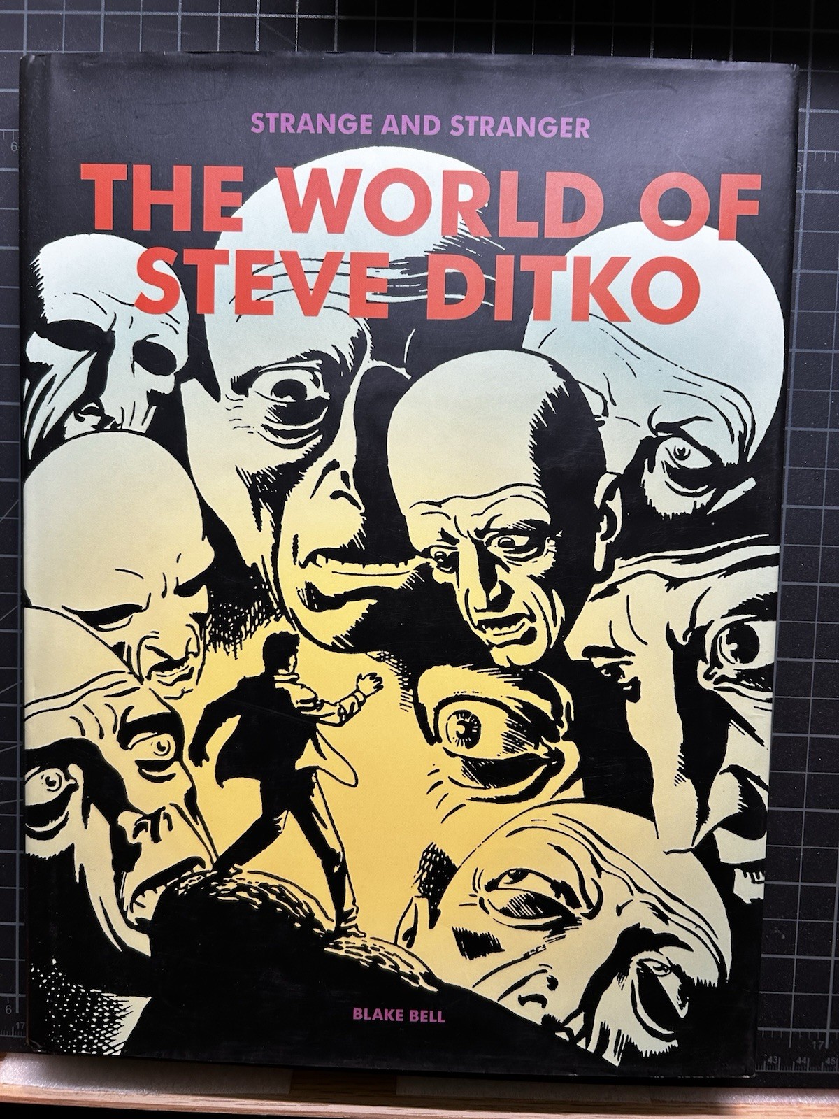 The World of Steve Ditko Hardcover Art Book 2008 DJ