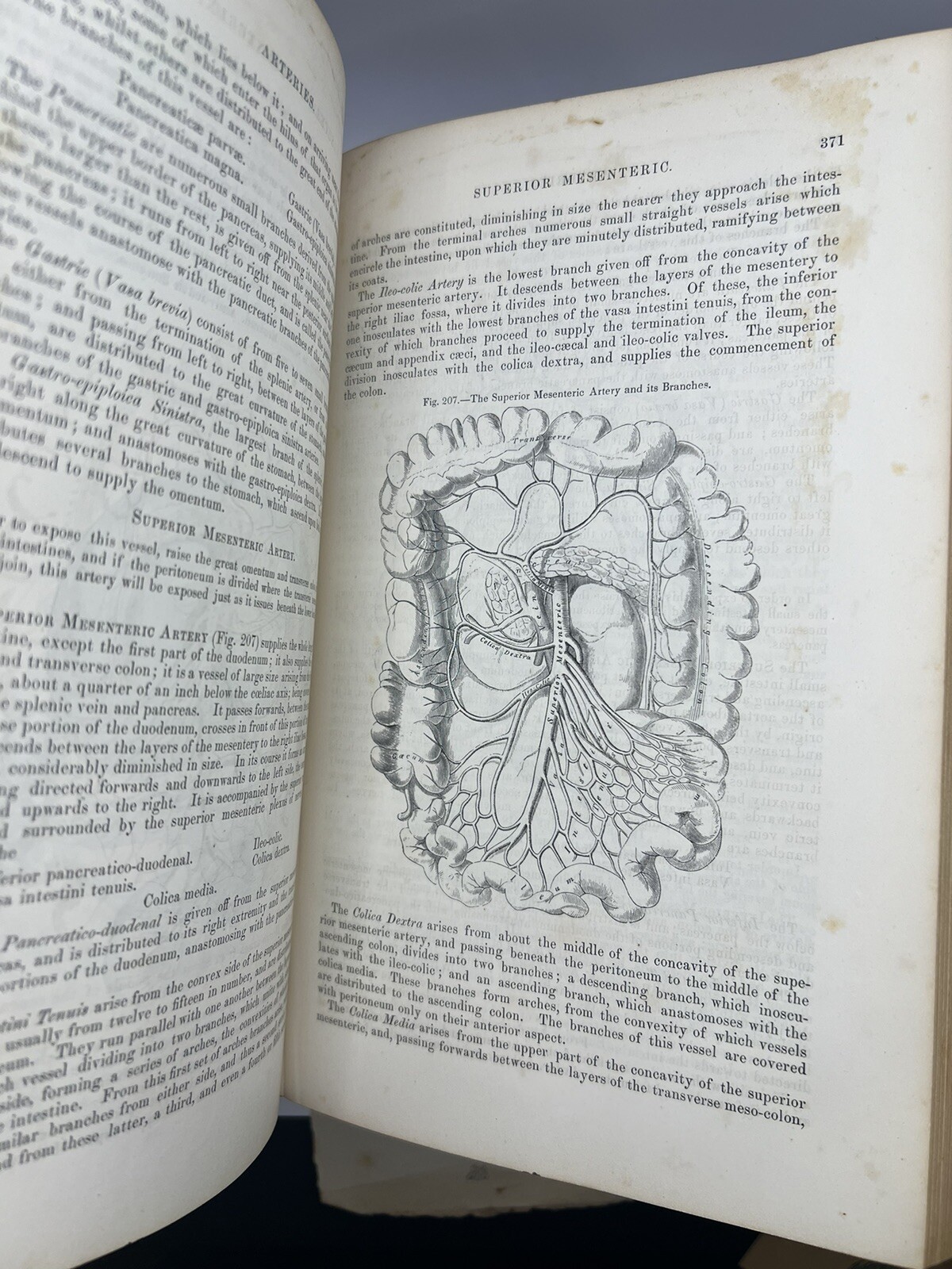 “Gray’s Anatomy” Anatomy Descriptive and Surgical By Henry Gray 1859