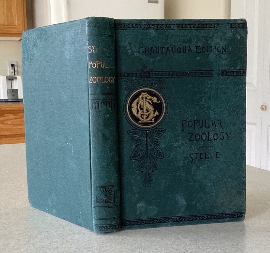 1887 POPULAR ZOOLOGY by Steele Chautauqua Edition ANIMAL ENGRAVINGS