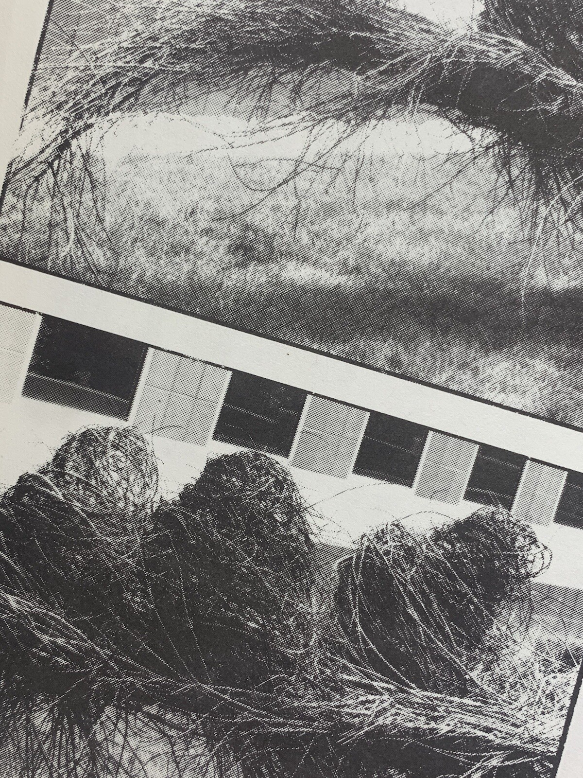 DOUGHERTY, Patrick. Patrick Dougherty. Chapel Hill, NC: Patrick Dougherty, 1990.