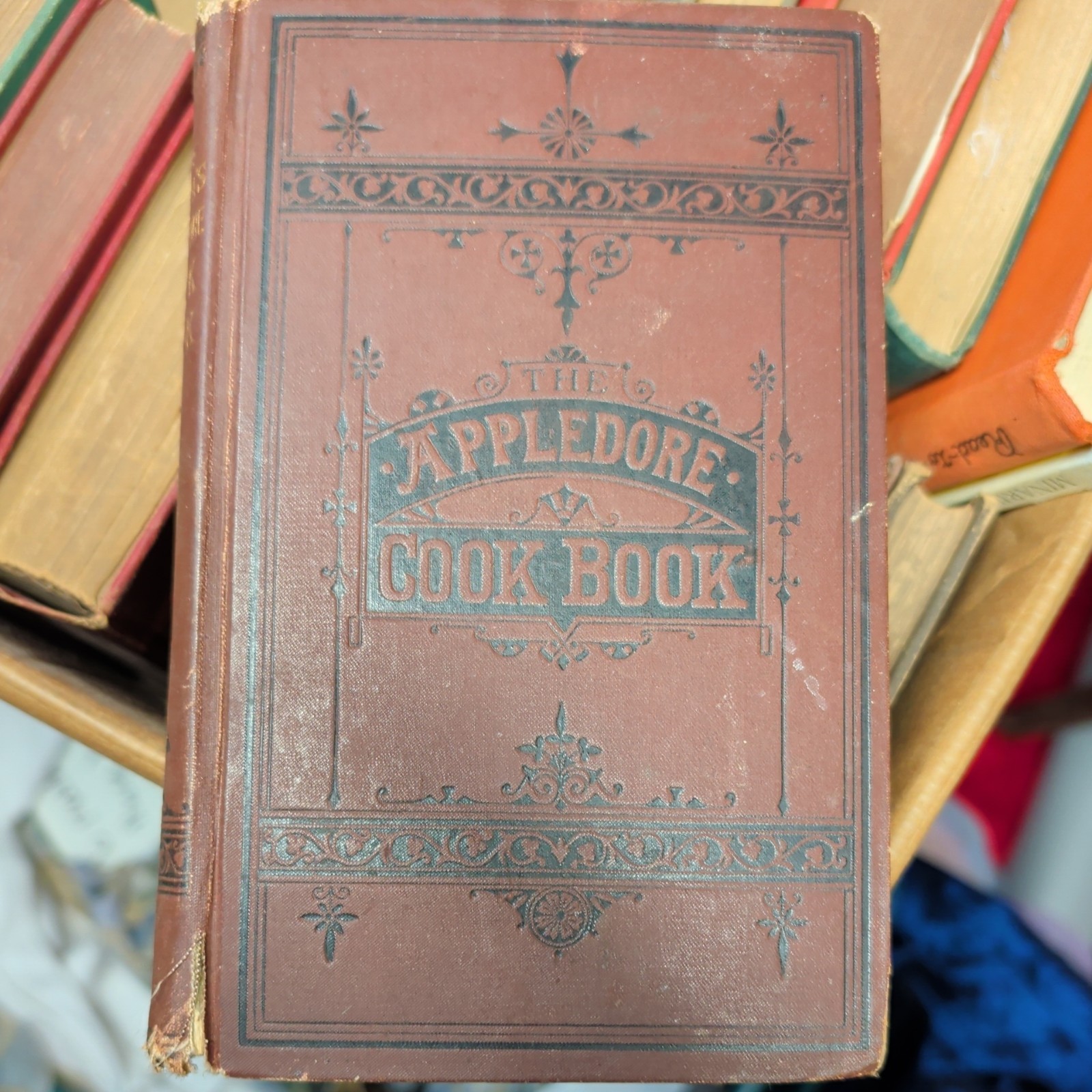The Appledore Cookbook Practical Receipts 1880 Hardcover Vintage Rare Antique