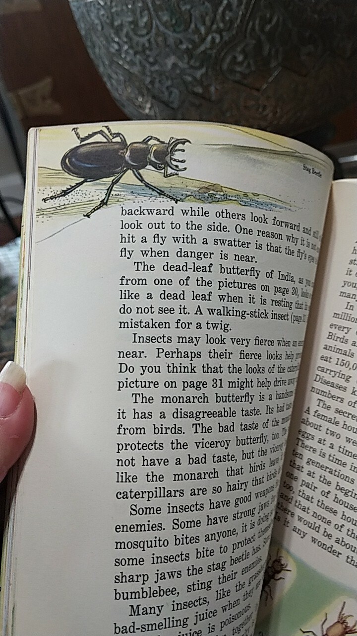 „INSECTS AND THEIR WAYS“. 1940s Basic Science Education Series children’s book.