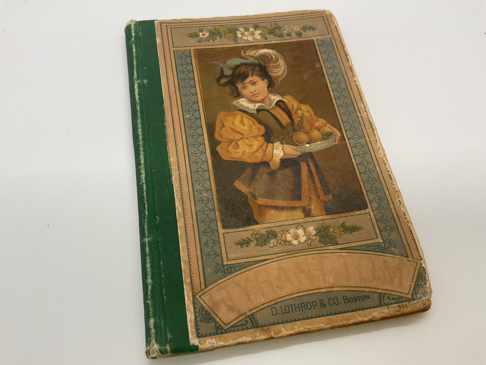 D. Lothrop & Co. Boston Illustrated Children’s Literature Hardcover Book English