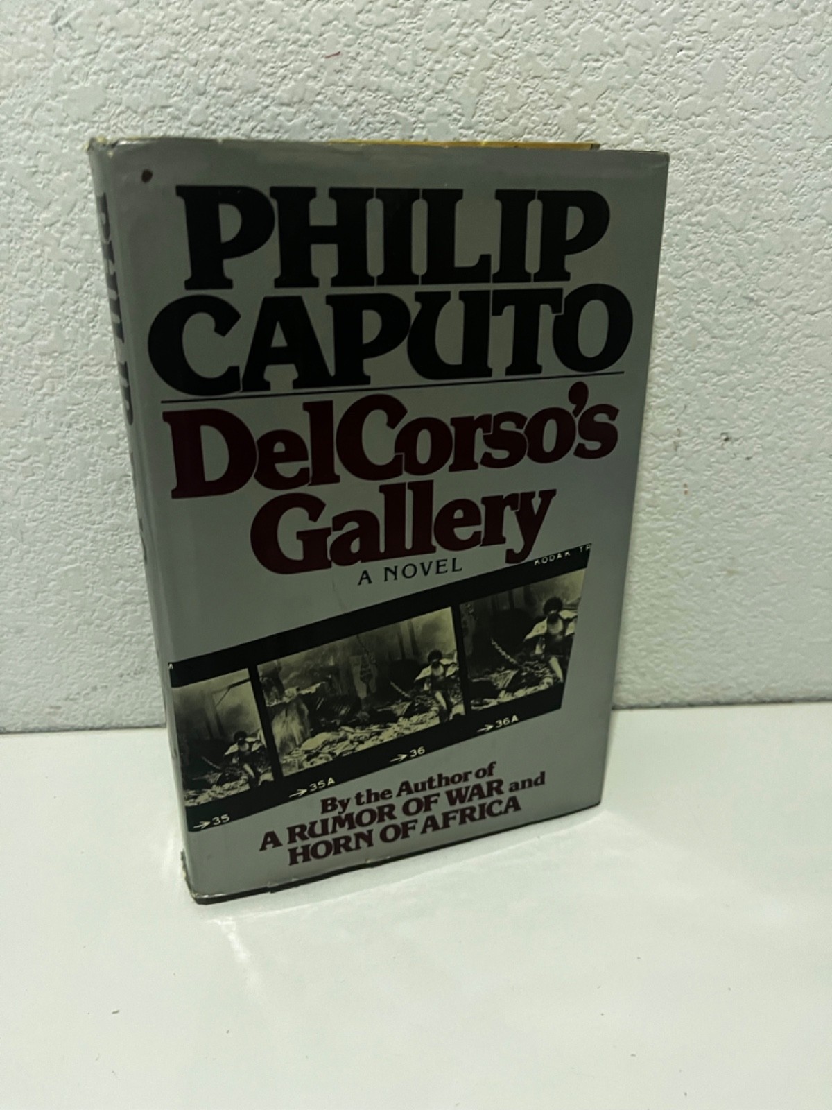 DelCorso’s gallery a novel by Philip Caputo HOLT REINHART 1ST print HCDJ 1983