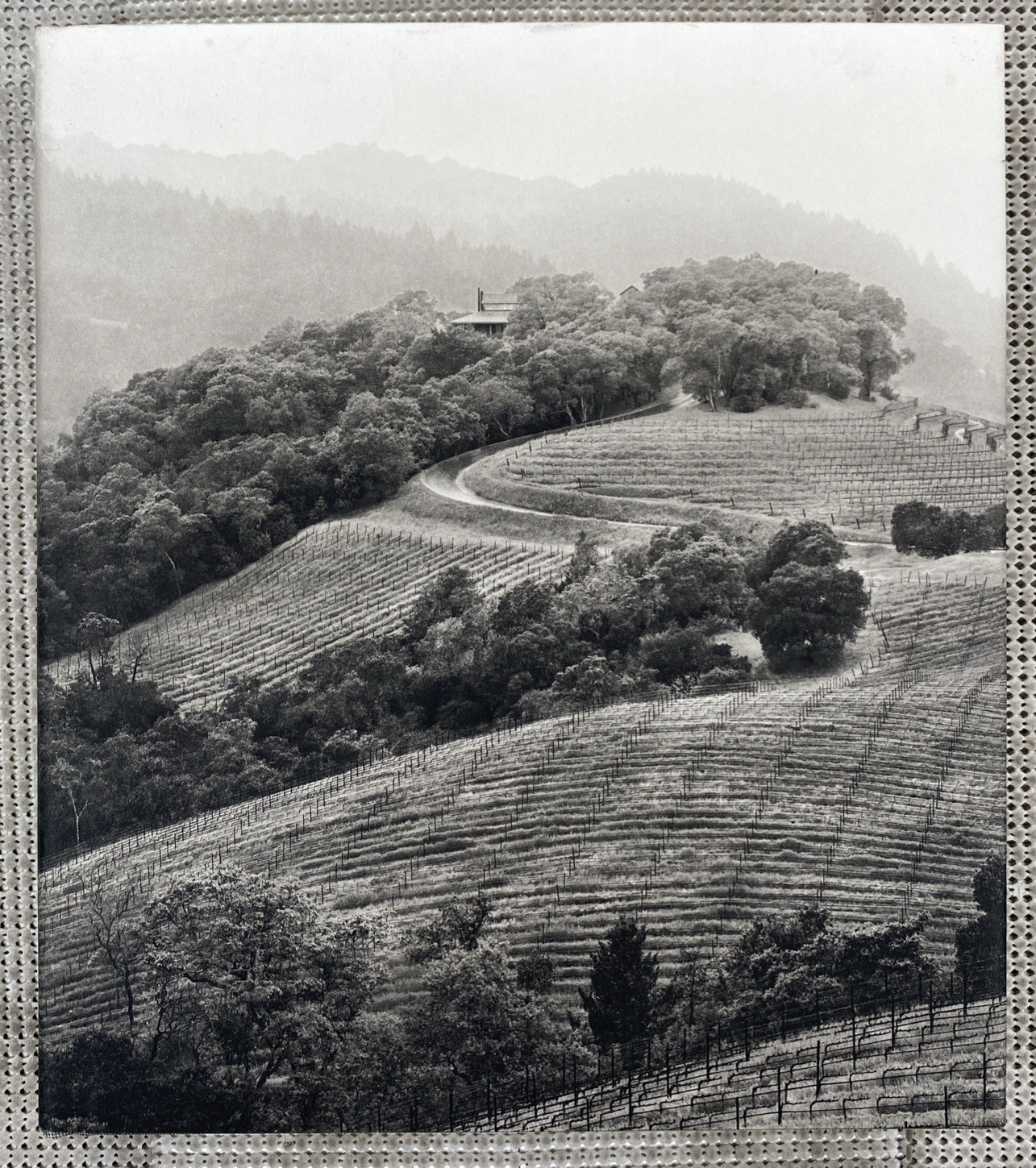 Observations from the Hillside Harlan Estate Oakville California Hardcover