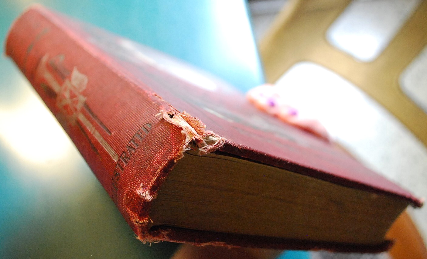 RARE 1901 Hardcover Book THEODORE ROOSEVELT PATRIOT & STATESMAN Illustrated 1st