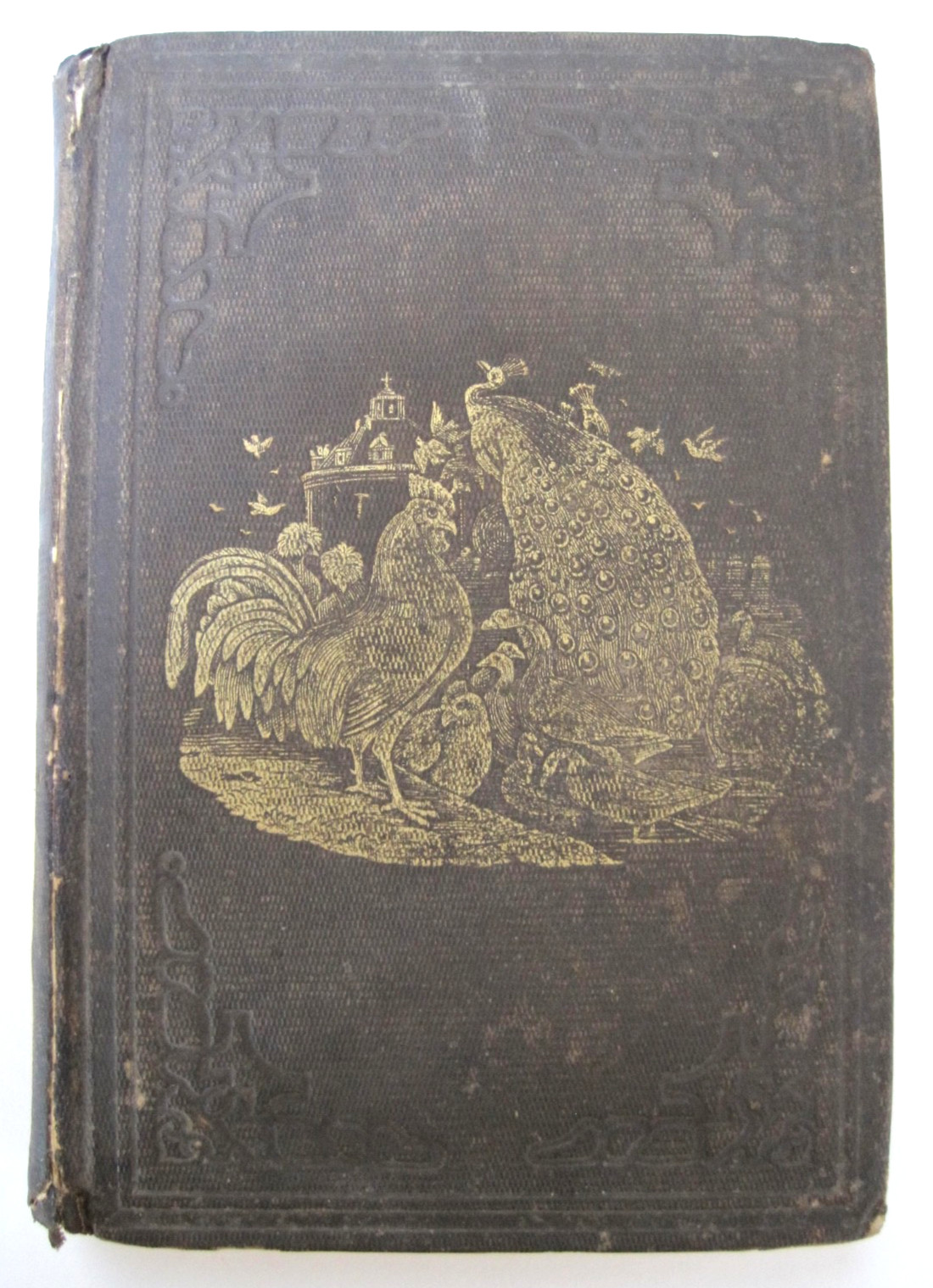 RARE! 1850 1st Edition THE AMERICAN POULTRY YARD By D.J. Browne MANY ENGRAVINGS!