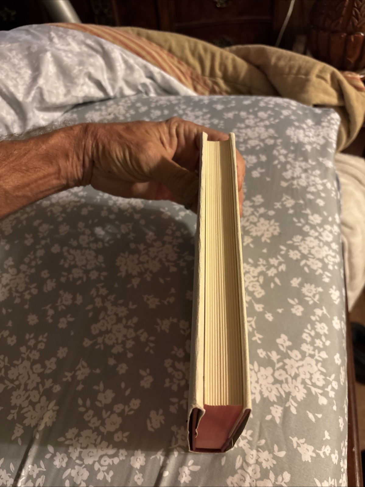 The Sacred Fount (Henry James – 1959) Very Good Condition-dust Jacket