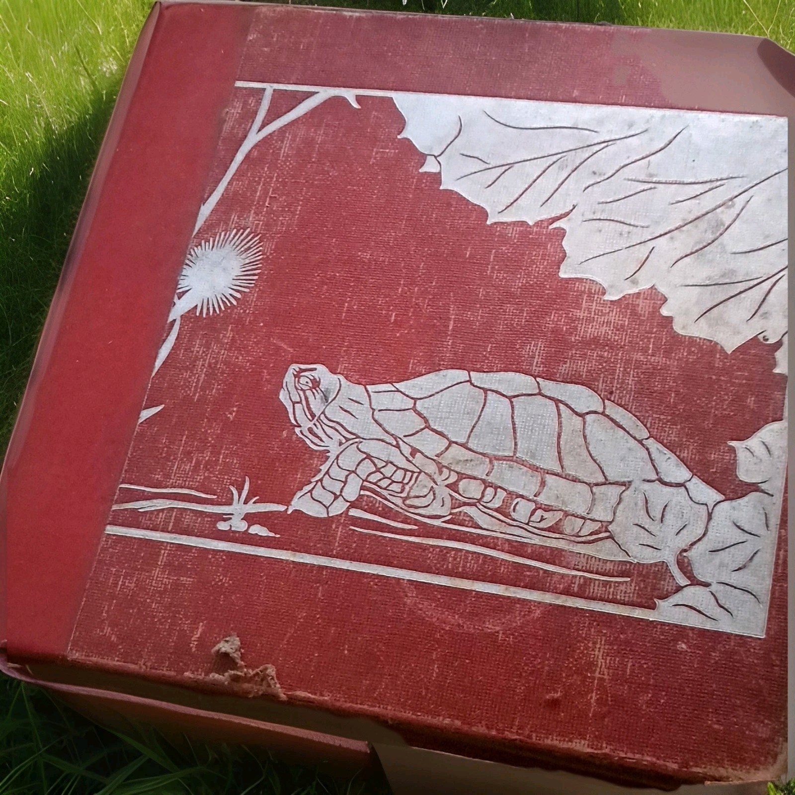 Vintage Children’s Book, Let’s Go Outdoors/Harriet E. Huntington 1939