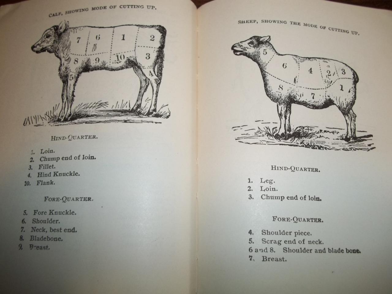 1934 HOME FARM RECIPES COOKBOOK BREWING CATTLE MEDICAL PERFUMERY EXPLOSIVES