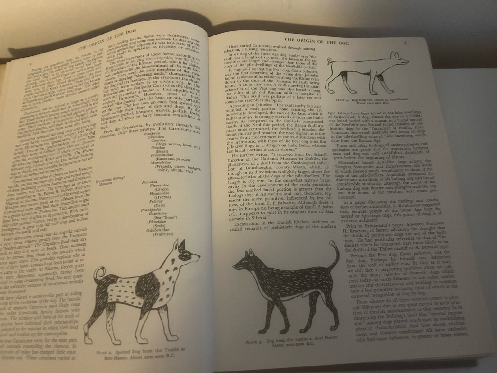 Modern Dog Encyclopedia – Henry P. Davis 1949 Rare Full LEATHER Hardcover Book