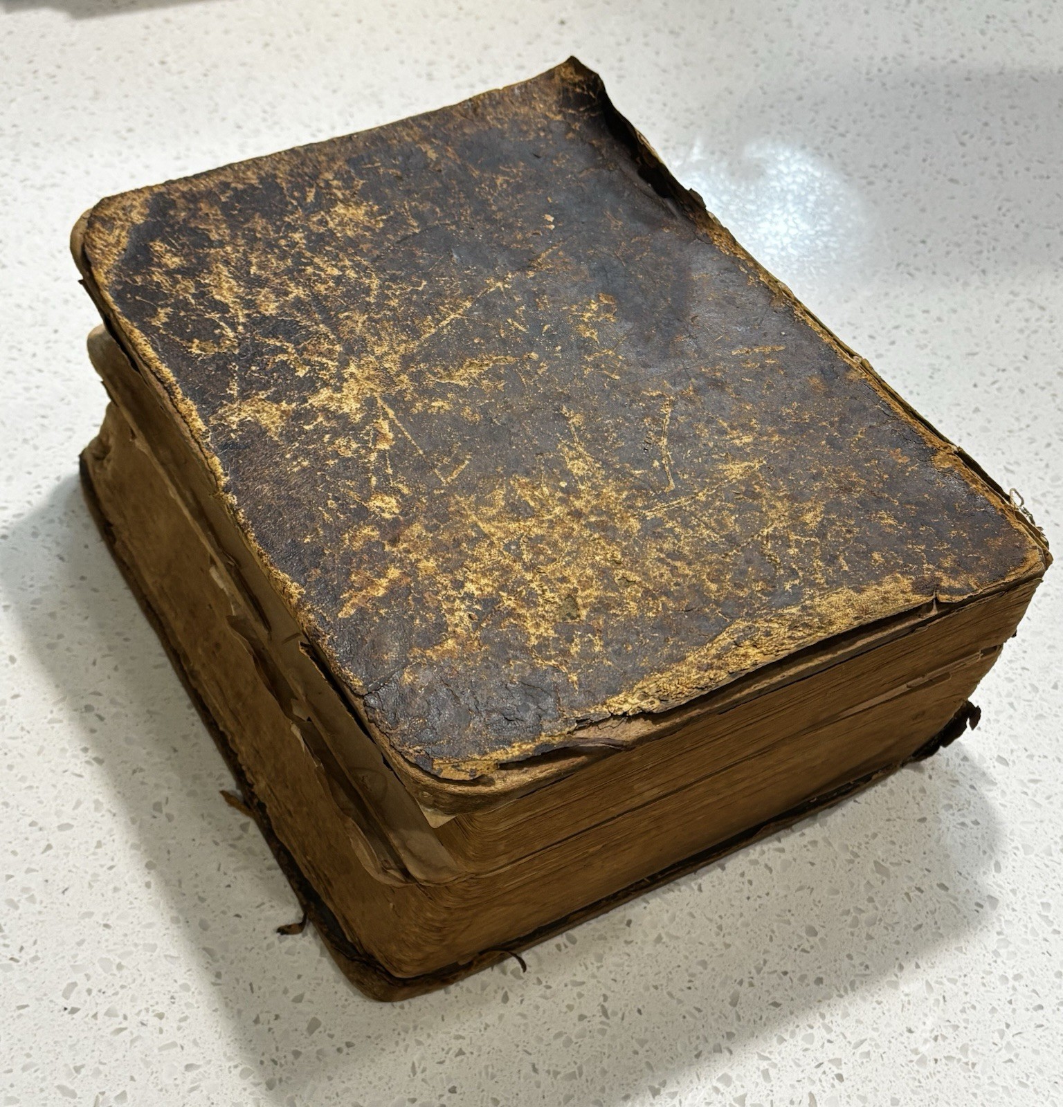 Noah Webster Leather Bound Unabridged Dictionary Super Rare Antique 1859
