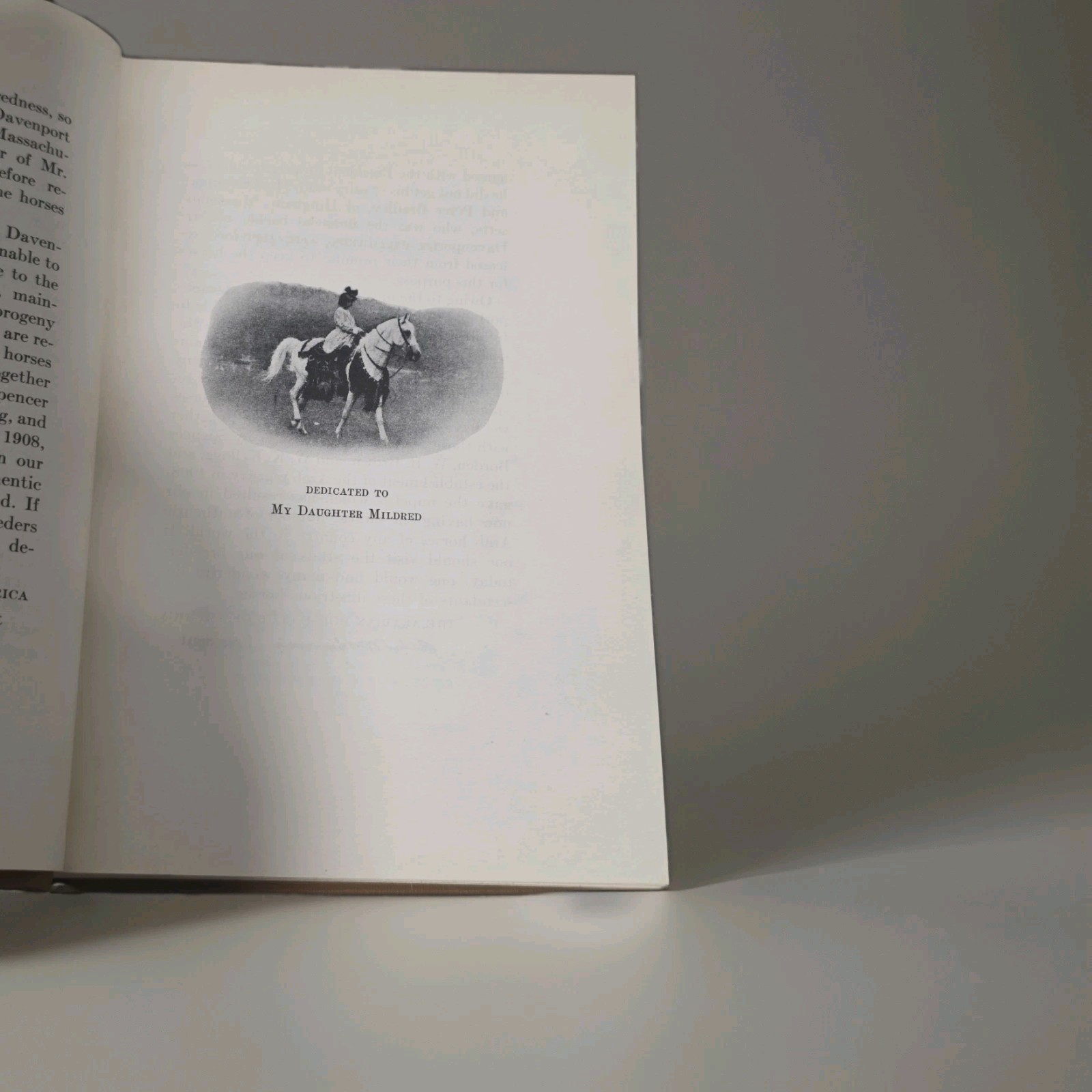My Quest of the Arabian Horse Homer Davenport c1900s Arabian Horse Club HC RARE