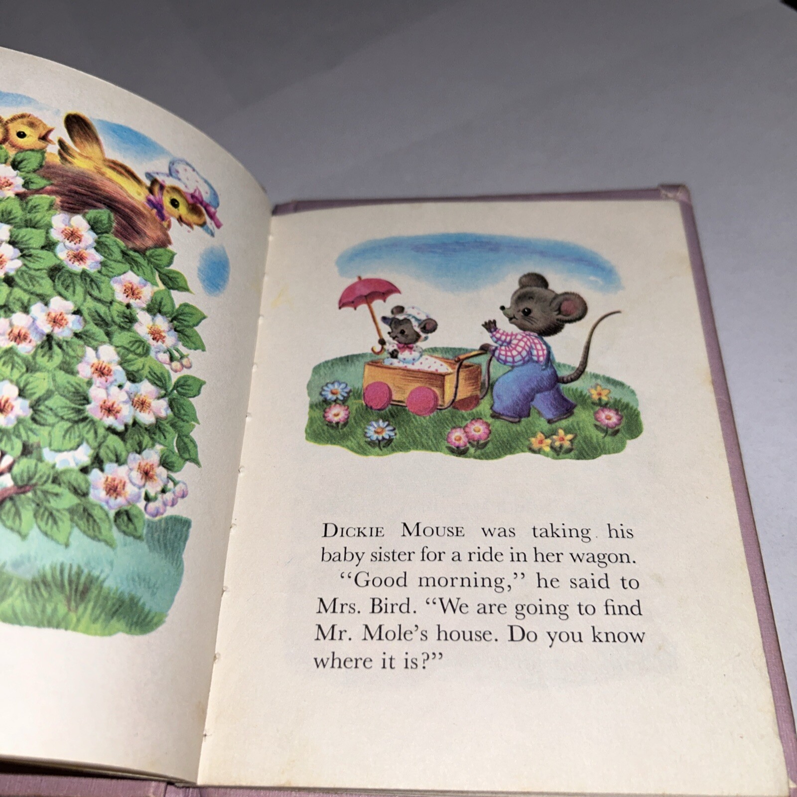 Mr. Mole’s House 1968 Tiny Elf Book