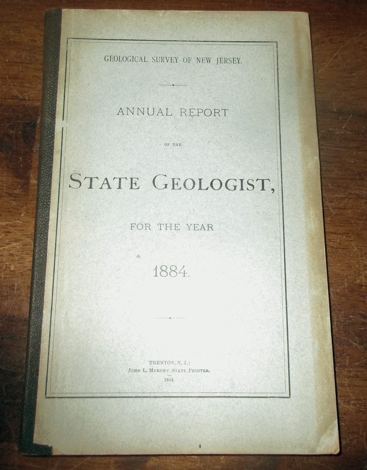 GEOLOGY NEW JERSEY 1884 GEOLOGICAL ANNUAL REPORT SILURIAN DEVONIAN ROCKS MINERAL