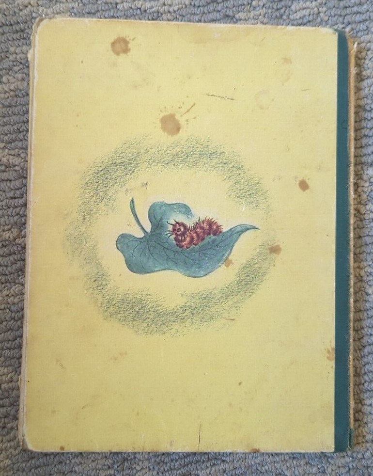 A Lion For Patsy 1947 Miriam Mason Illus. Vera Neville