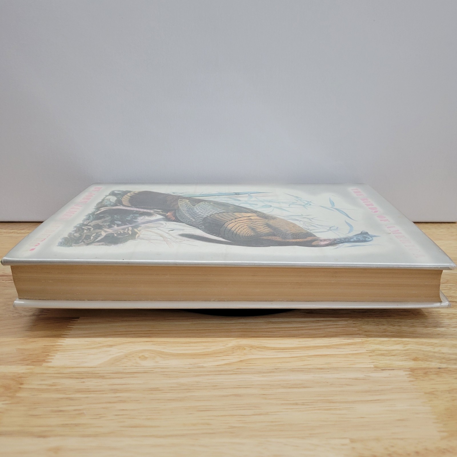 Birds of America John James Audubon 1965 Macmillan 435 Plates Hardcover DJ VG