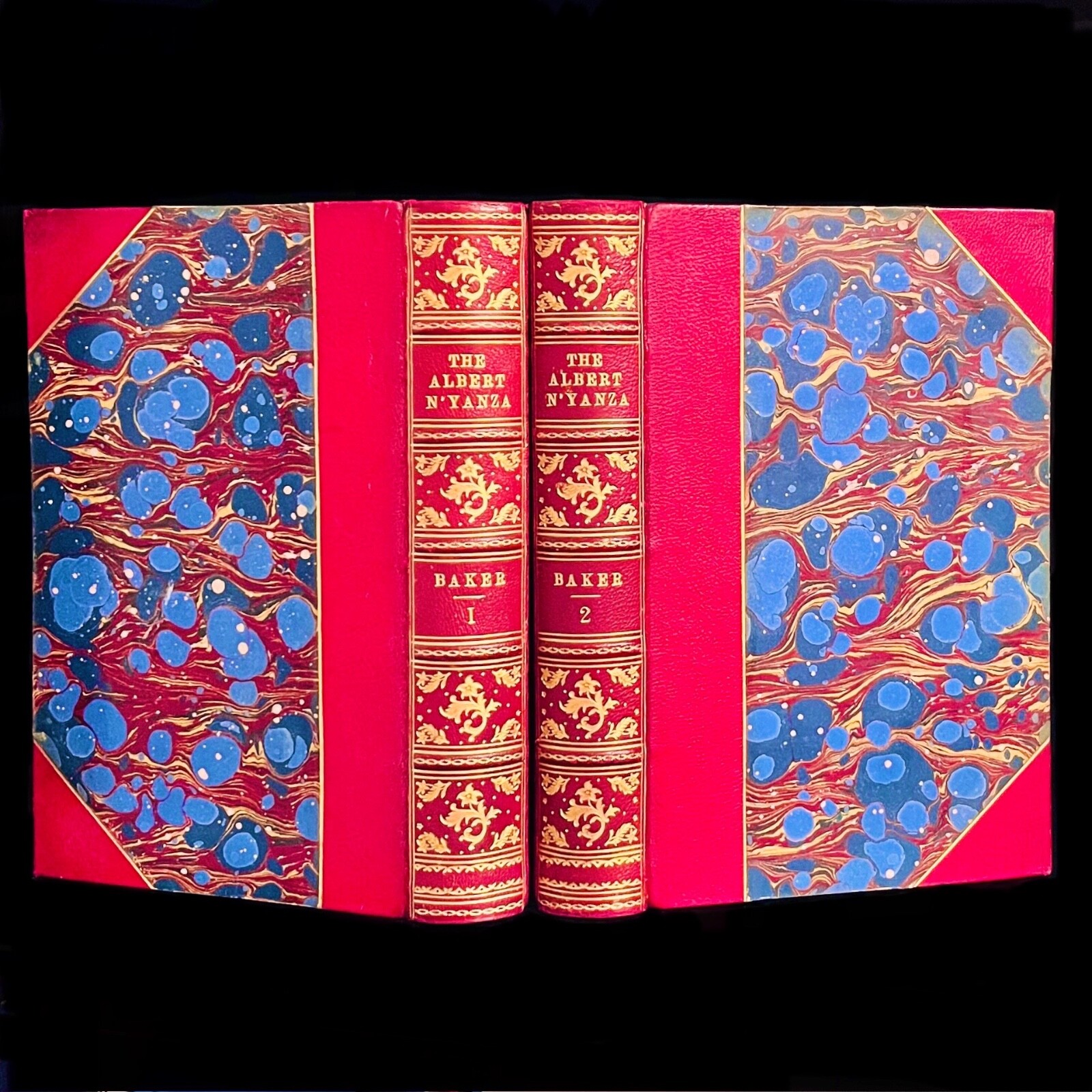 Samuel Baker THE ALBERT N’YANZA 1866 first edition nyanza SEARCH FOR NILE SOURCE