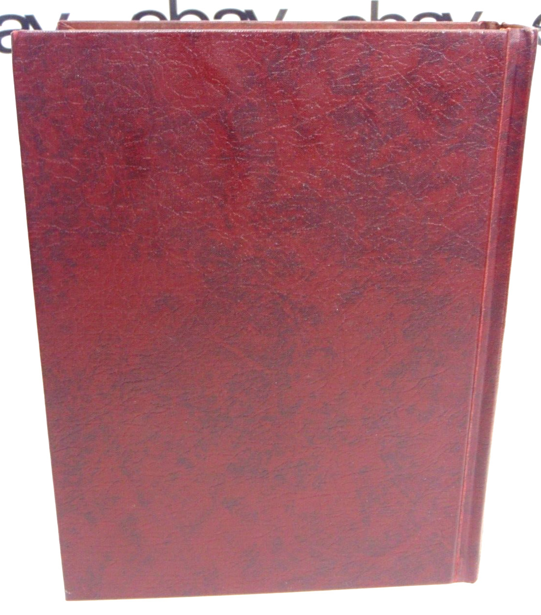 Layman’s Bible Encyclopedia Book 1964 The By William C Martin Biblically Vintage