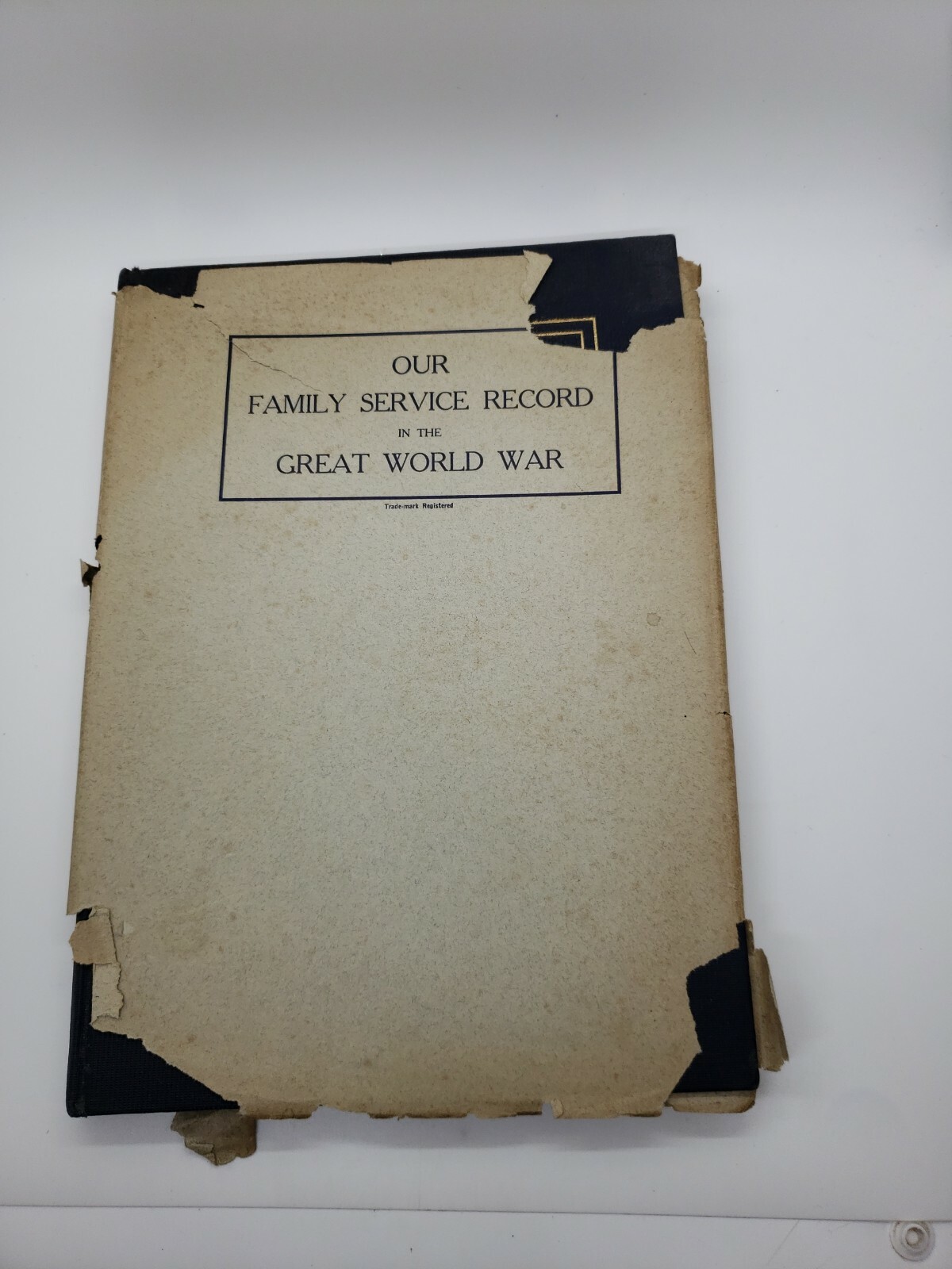 Antique 1919 OUR FAMILY SERVICE RECORD IN THE GREAT WORLD WAR WWI w/ map unused