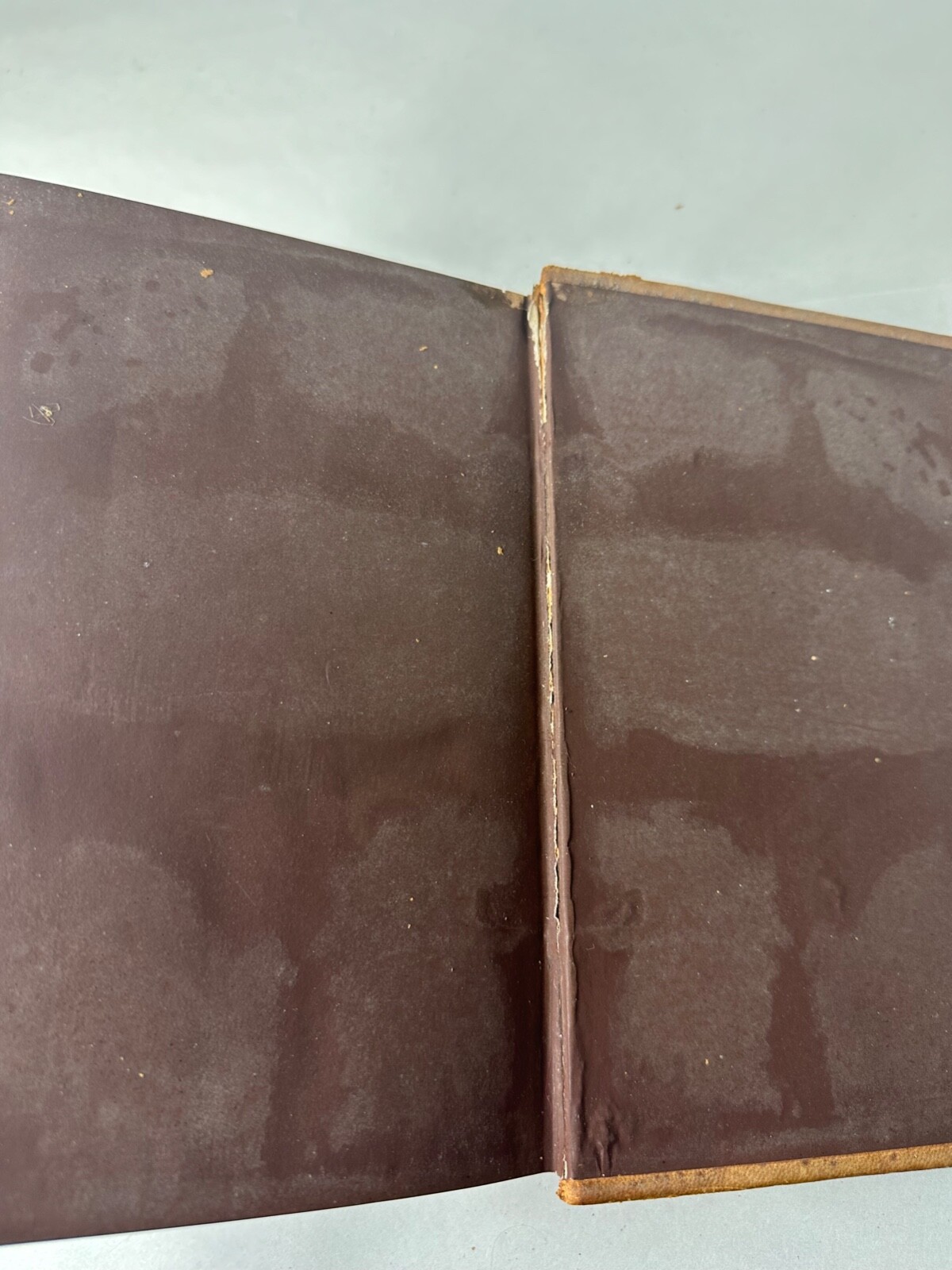 VTG Eminent Women of the Age 1868 Antique First Edition Book Illustrated Leather