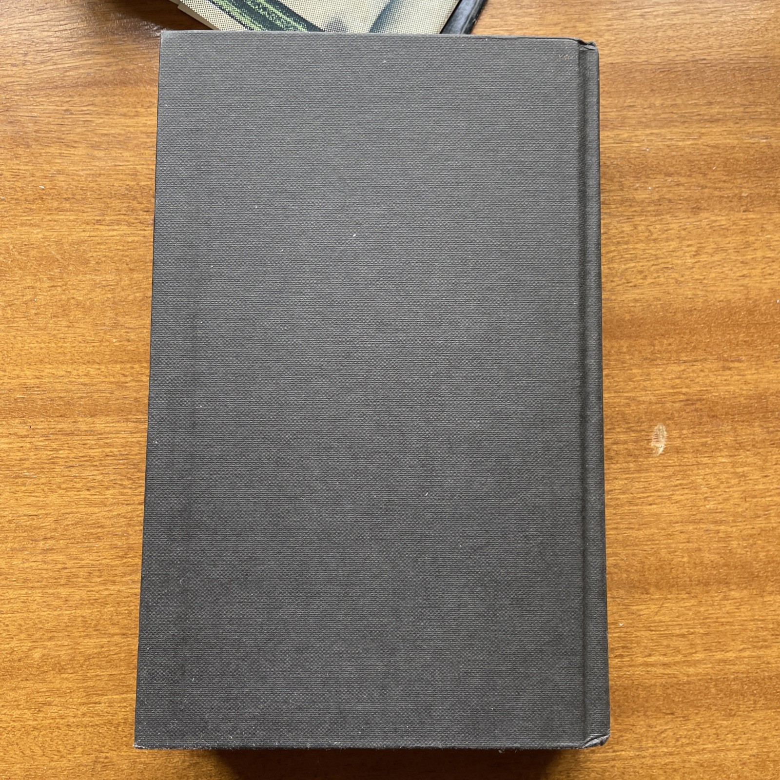 Milan Kundera ‚Immortality‘ First Edition Hardback with Dust Cover 1991