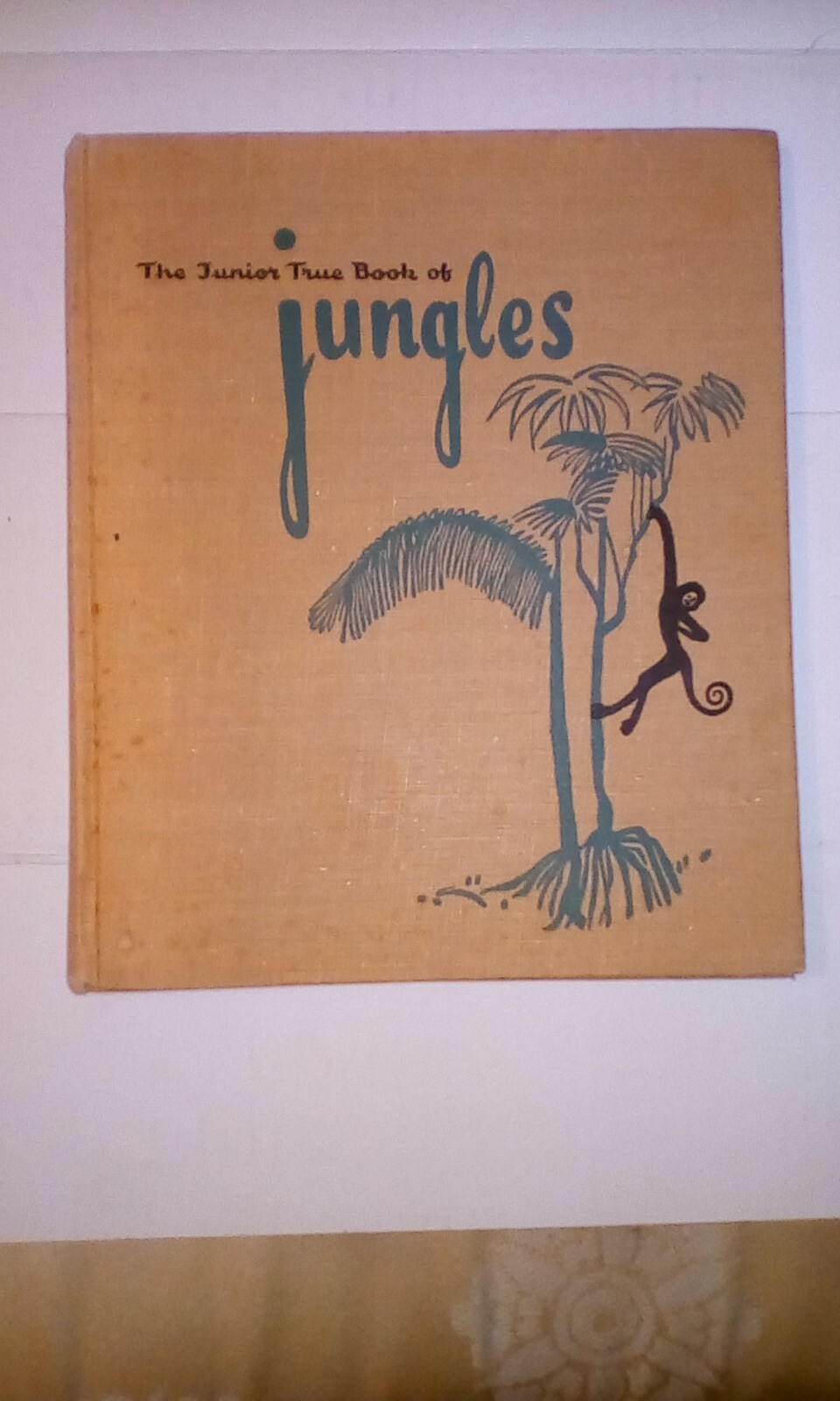 The Junior True book Of Jungles, Illa Podendorf, illustrated Katherine Grace