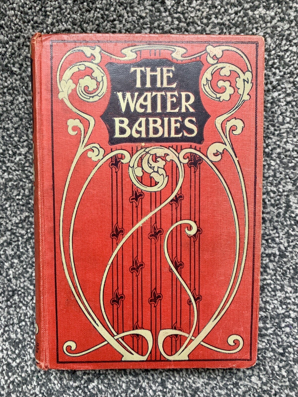 The Water-Babies By Charles Kingsley 1908 S. W. Partridge & Co.