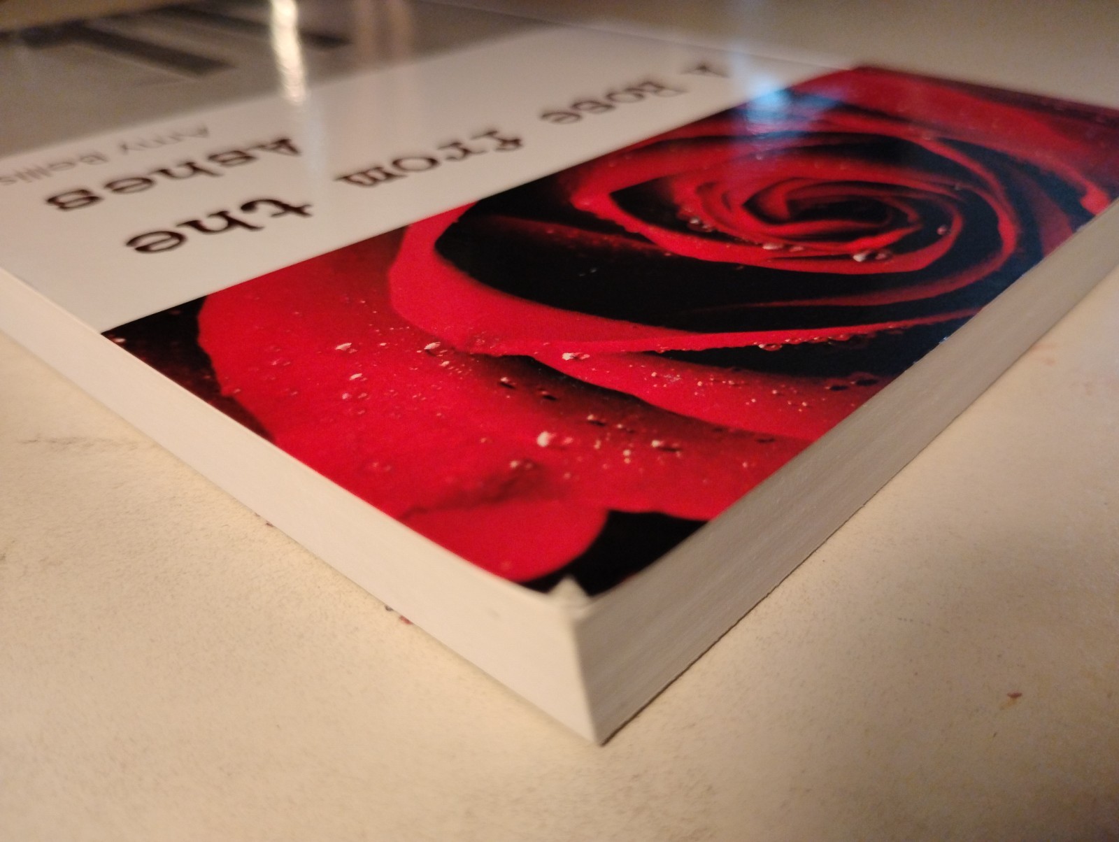 SIGNED 1st Edition A Rose from the Ashes Amy Bellis 2010 9/11 Fiction Paperback