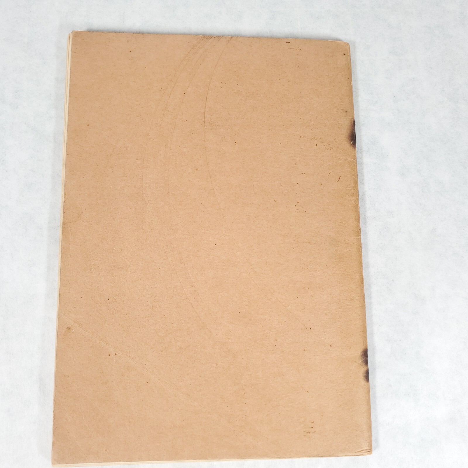 The Conquering Christ – 1935 Stapled Softcover by Inabelle Graves Coleman