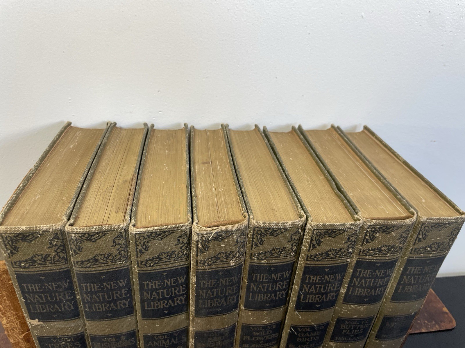 Lot of 8 Volumes of The New Nature Library 1920s 1922/1923 RARE