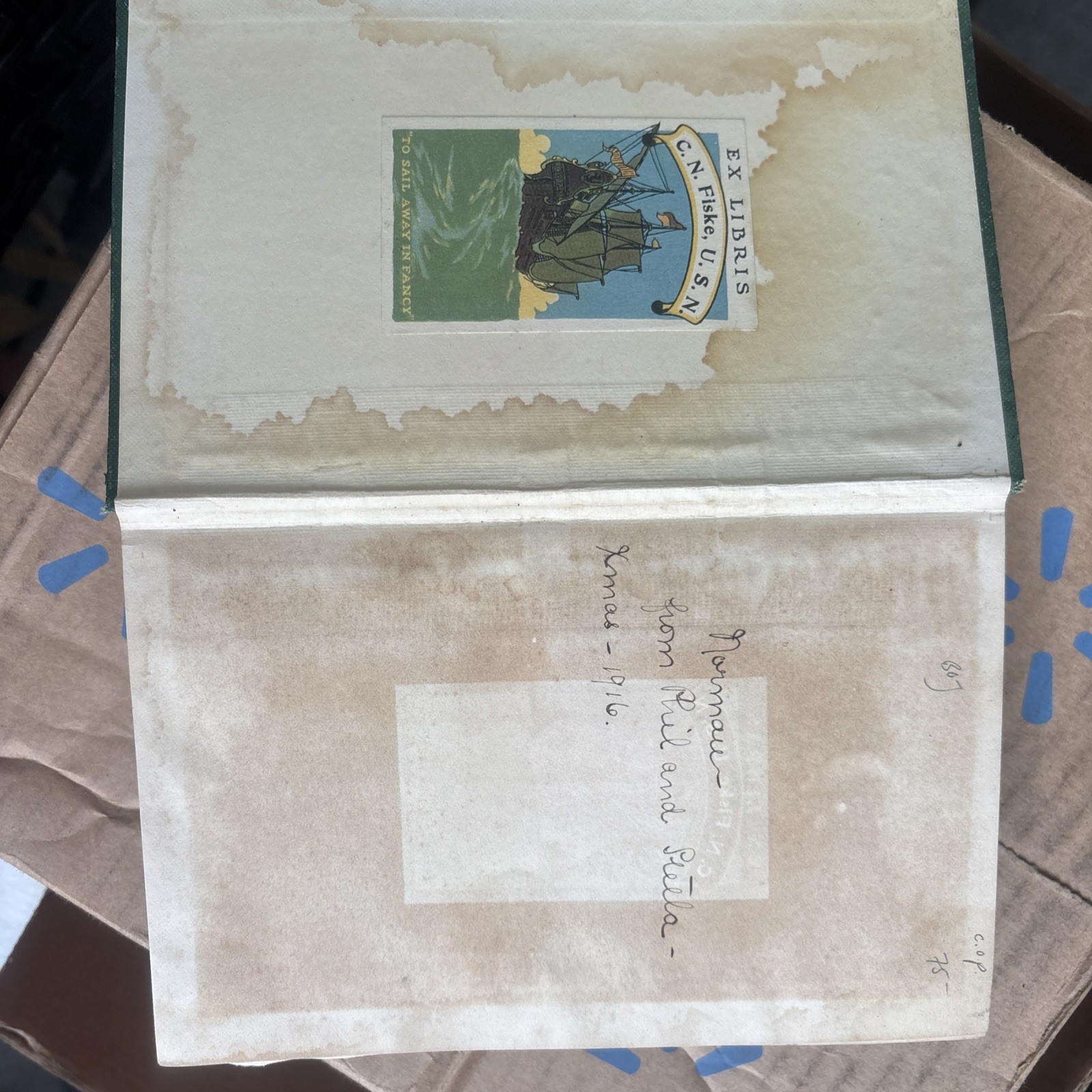 The Malay Archipelago 1913 Tenth Edition