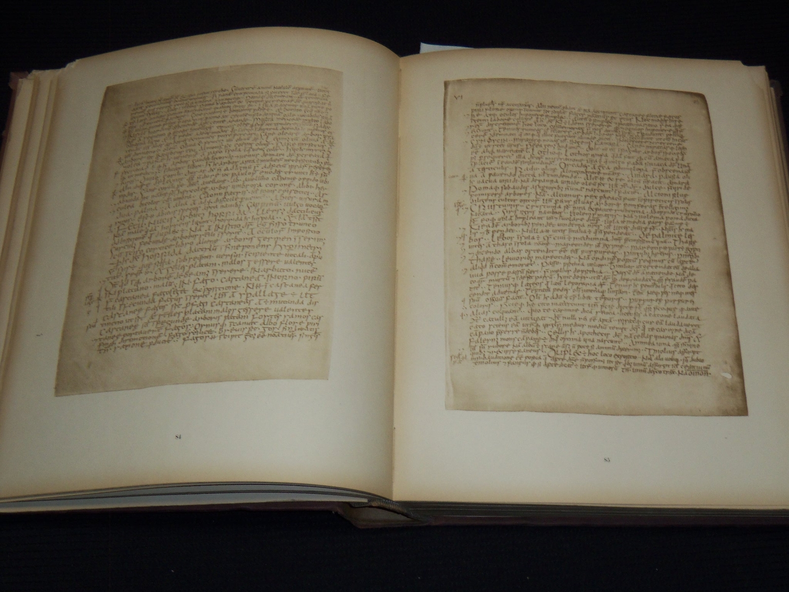 1897 CODICES GRAECI ET LATINI -CODEX BERNENSIS 363 TOME 2 – 394 PLATES – #15
