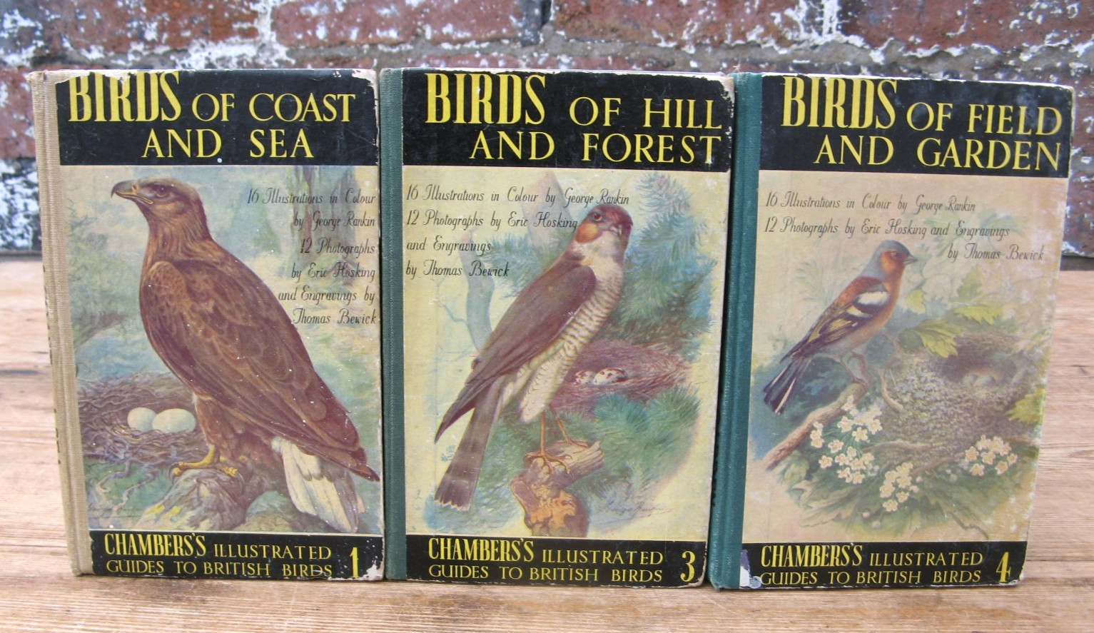 Chambers- Birds of Coast and Sea / Hill and Forest / Field and Garden John Blair
