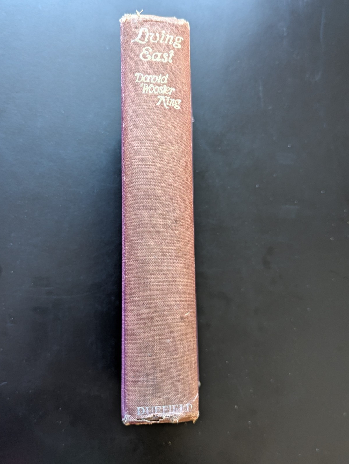 Living East 1929 Travel Asia Exploration History Nonfiction Rare Book Adventure