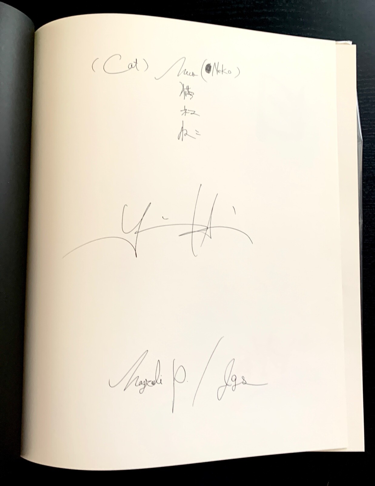 CATS / NECO – YUICHI HIBI – 1ST ED. – SIGNED – #230/500 – 2008 – NAZRAELI PRESS.