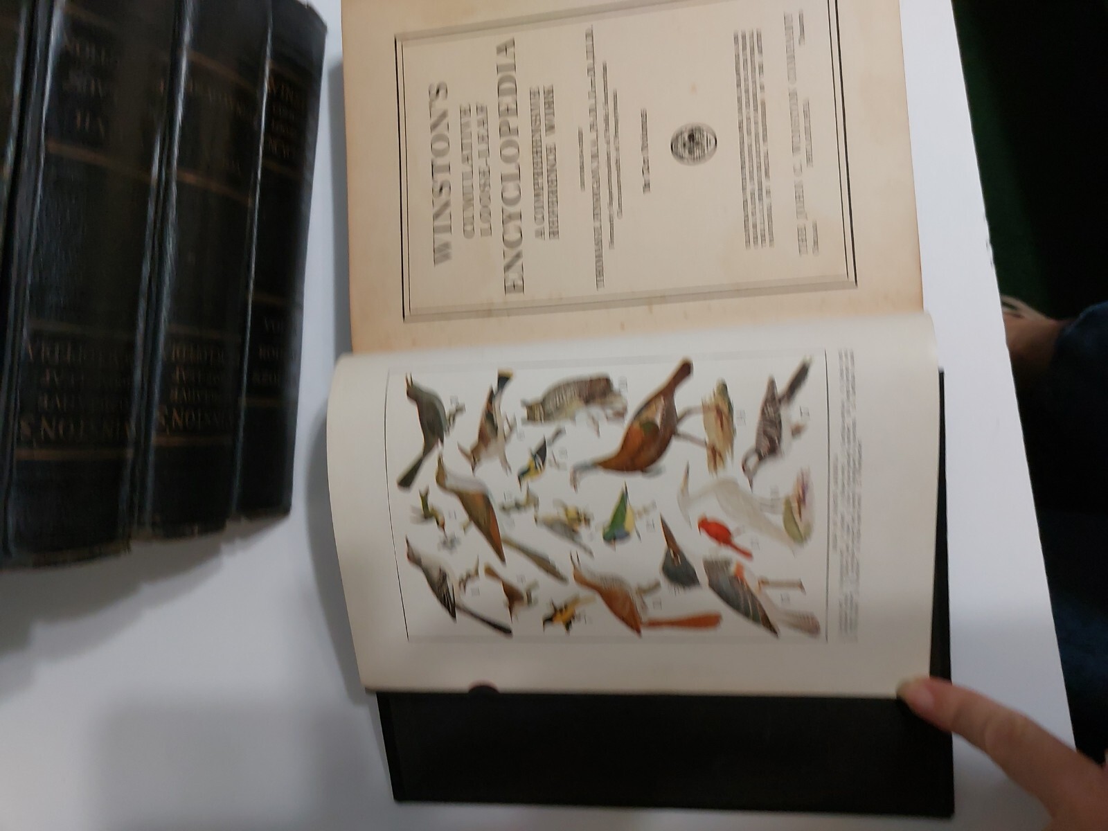 Antique Winstons Cumulative Loose-leaf Encyclopedia A Comprehensive Reference…