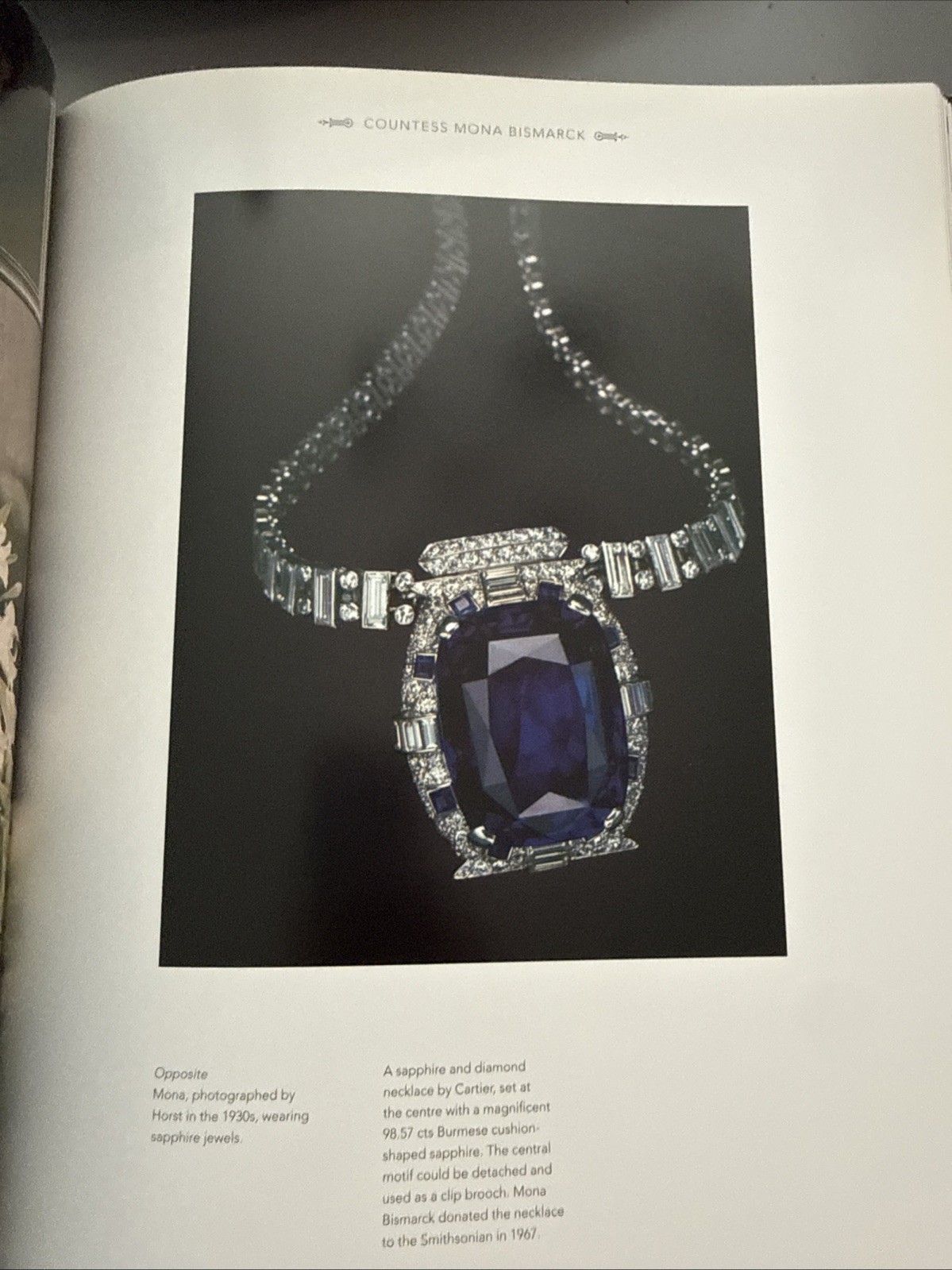 20th Century Jewelry & the Icons of Style Hardcover Large