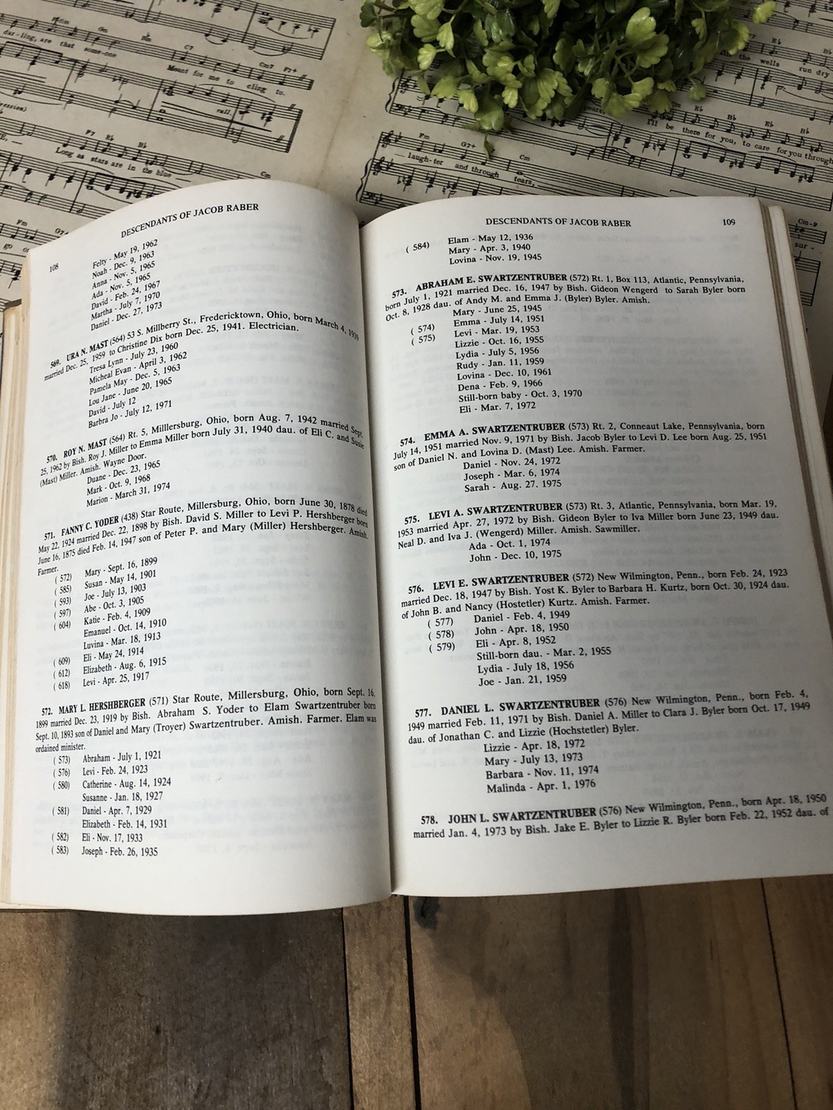 Descendants of JACOB RABER 1794-1977 Germany Amish Genealogy Ohio History Book