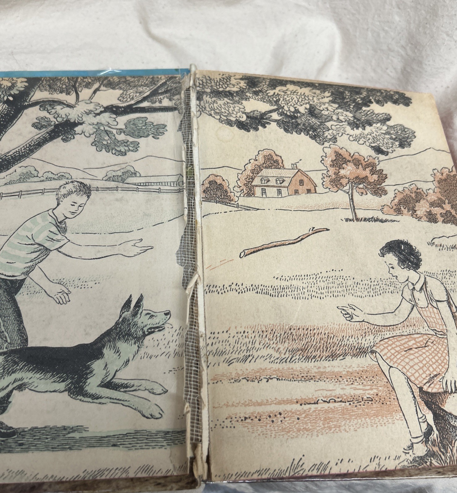 A vintage 1954 Whitman Publishing copy of Rin Tin Tin’s Rinty