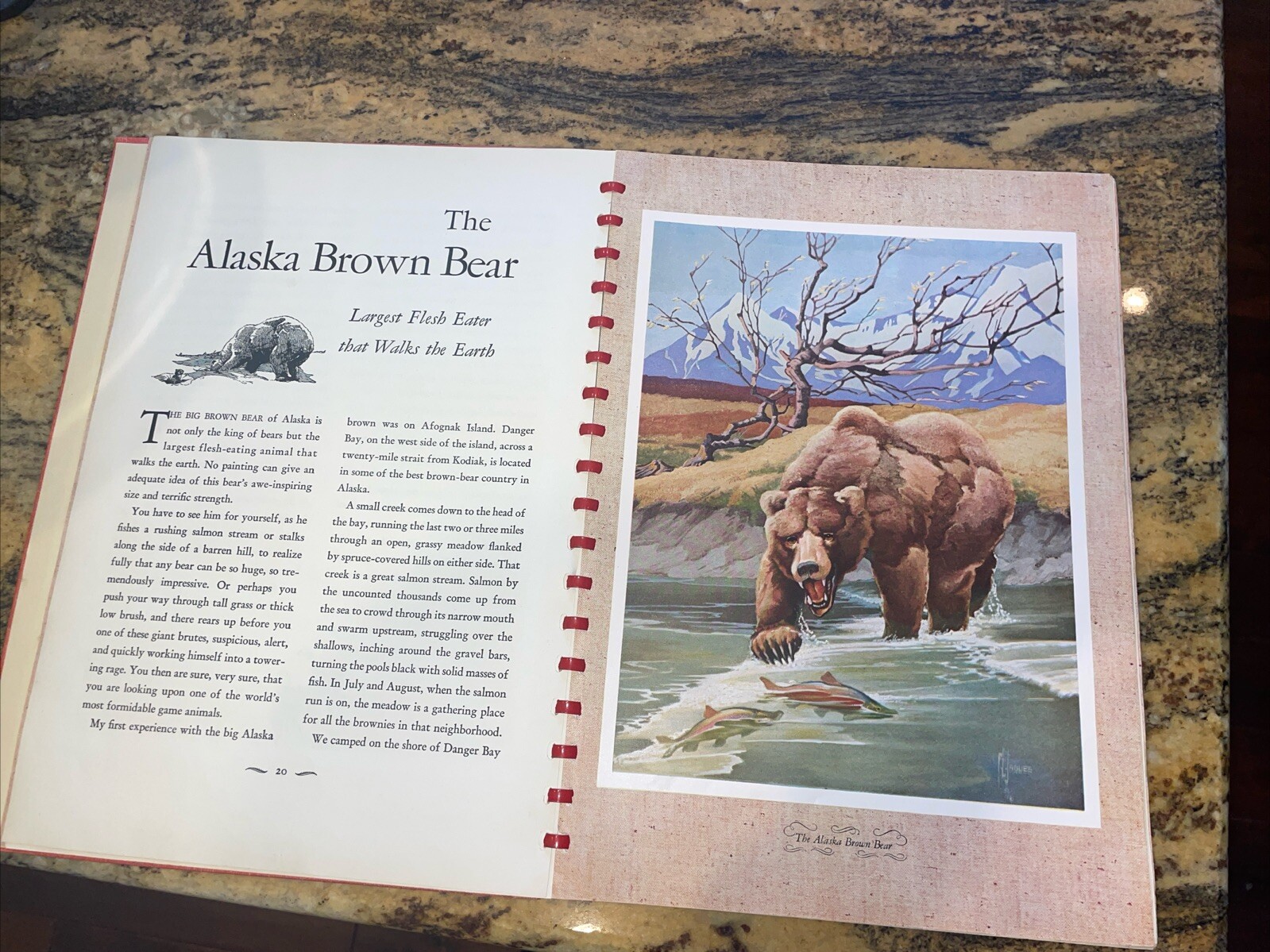 1946 OUTDOOR LIFE’S GALLERY OF NORTH AMERICAN GAME Paintings BY FRANCIS JAQUES