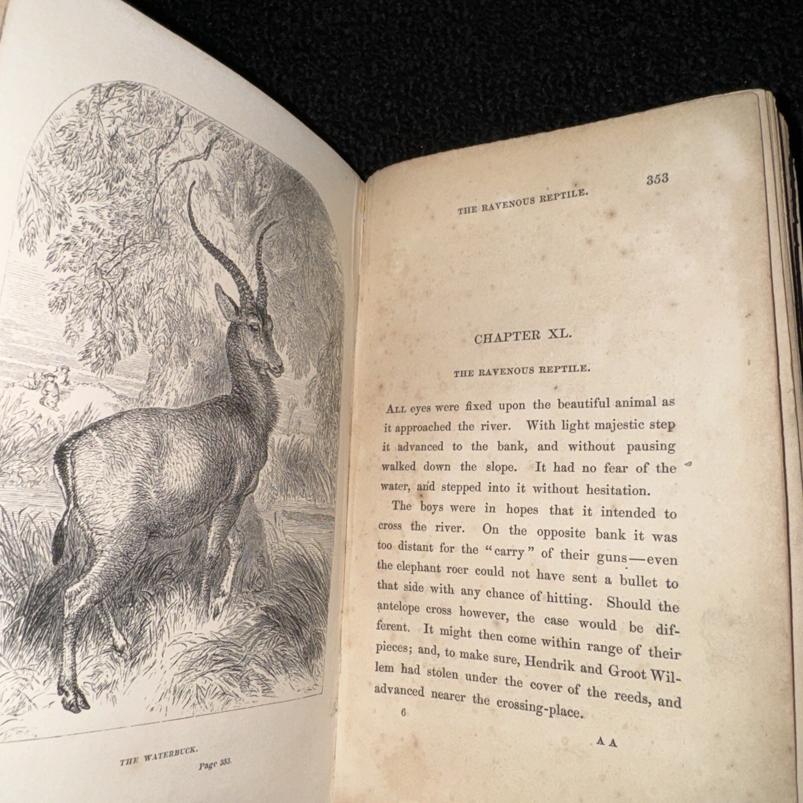 1857 The Young Yägers Narrative of Hunting Adventures in Southern Africa by Reid