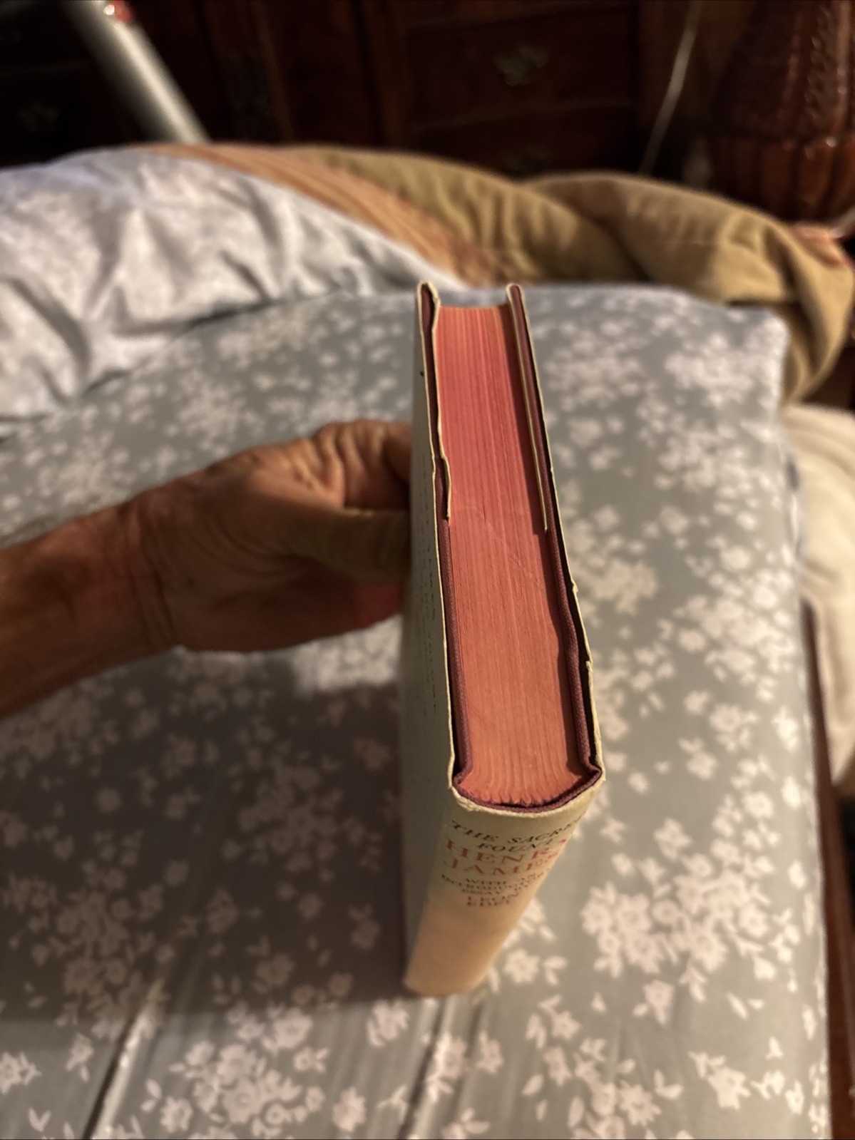 The Sacred Fount (Henry James – 1959) Very Good Condition-dust Jacket