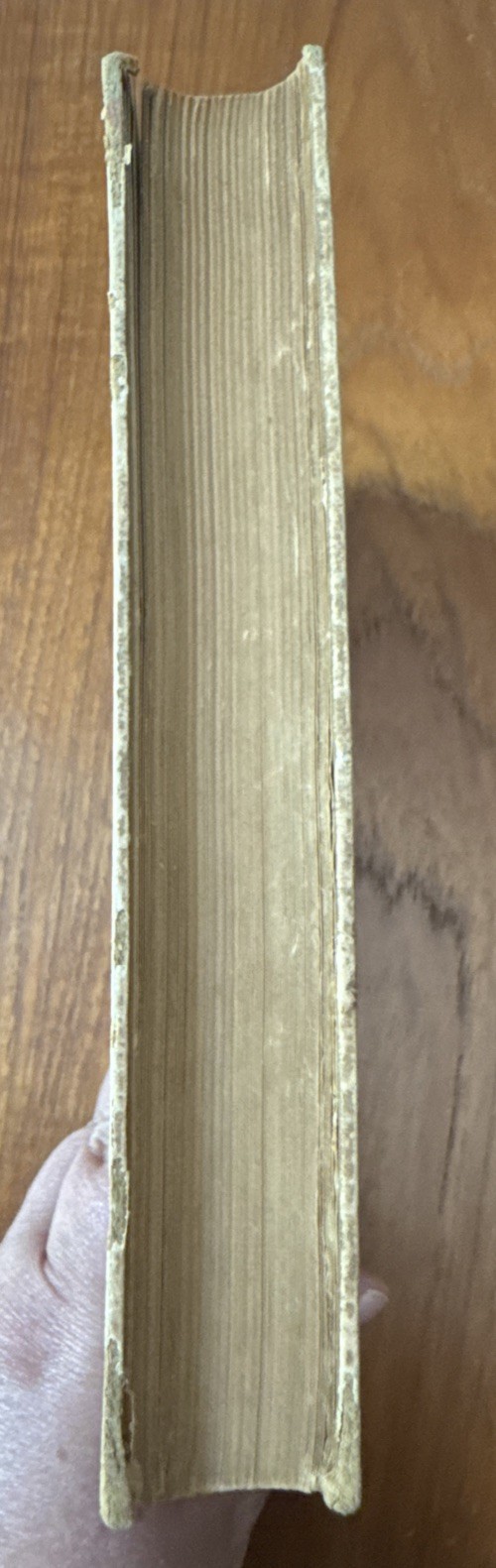 Virginia Woolf The Common Reader 1925 – 1st Edition Hogarth Press