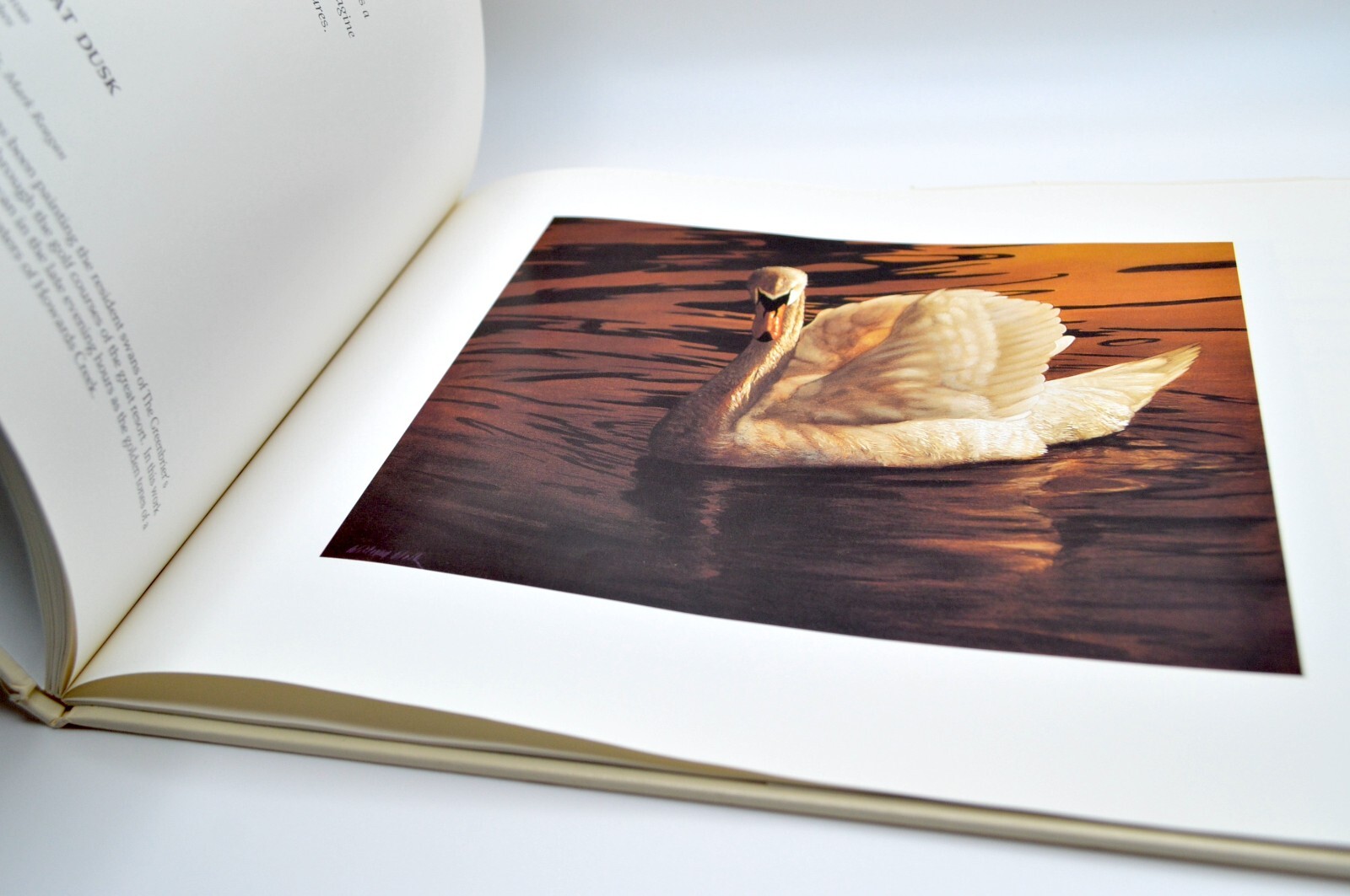 William Wolk, Paintings, HC/DJ, SIGNED, 1994, Jalmar Press, Monograph VG+